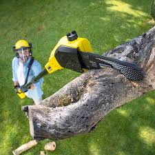 Best Aeration Services  in Pennington, NJ